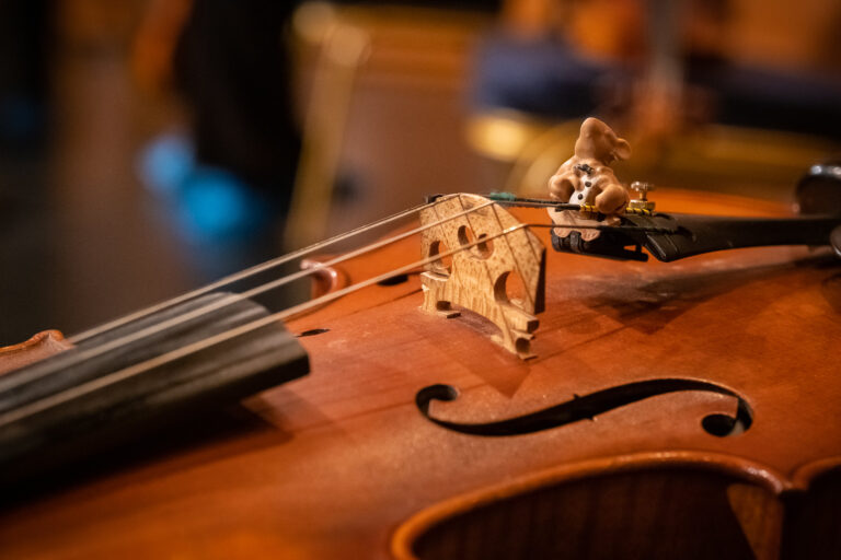 50749584021_812cc7ab13_k