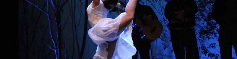 48077016178_80d53b380c_h