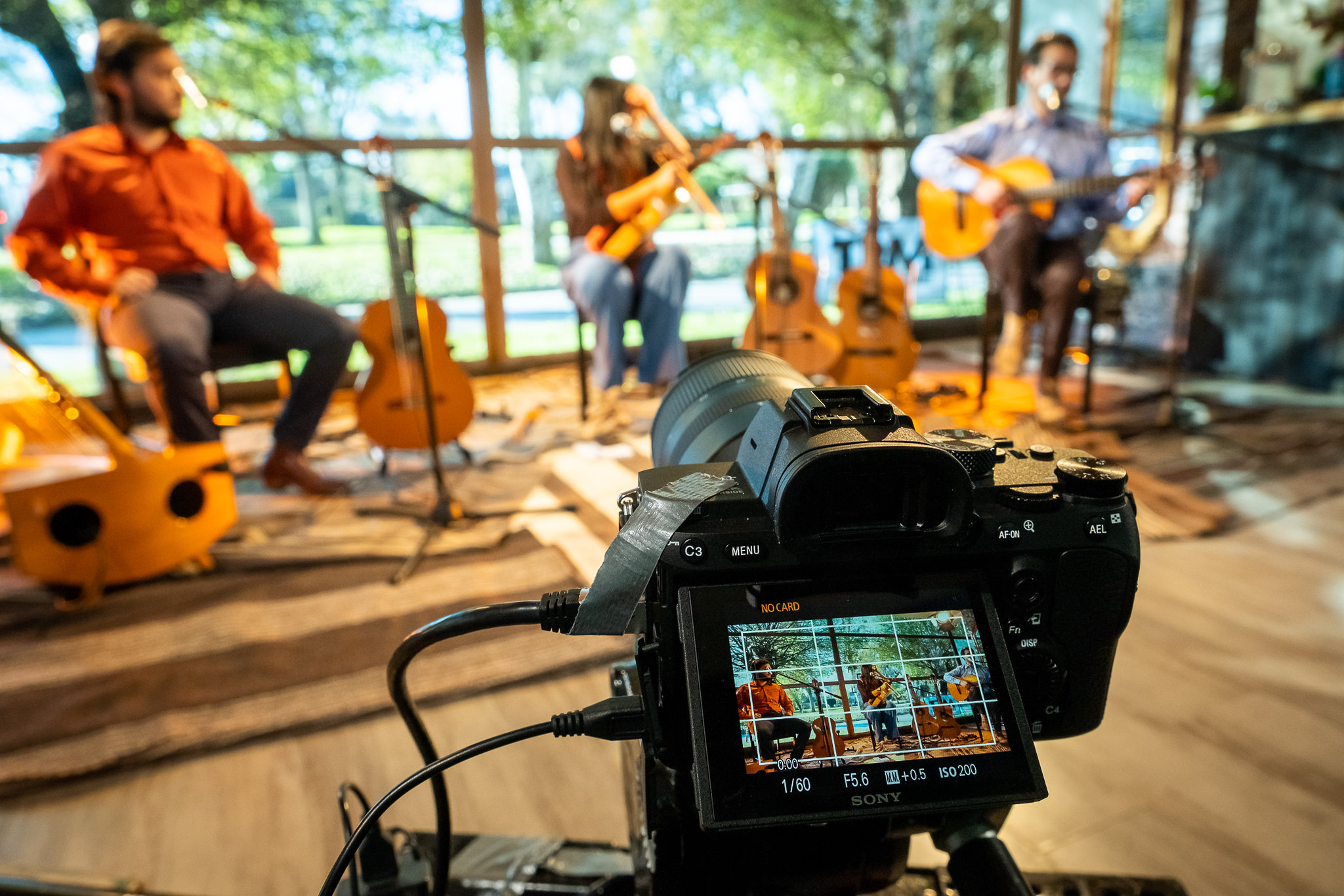 Colectivo Maule al sur 1