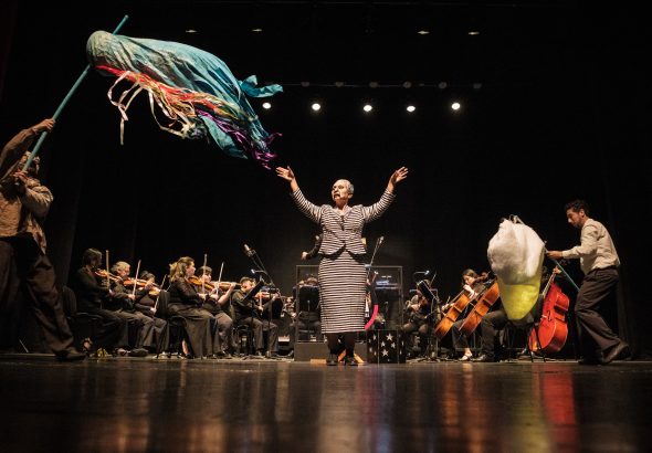 54910383335_f050a755fd_k