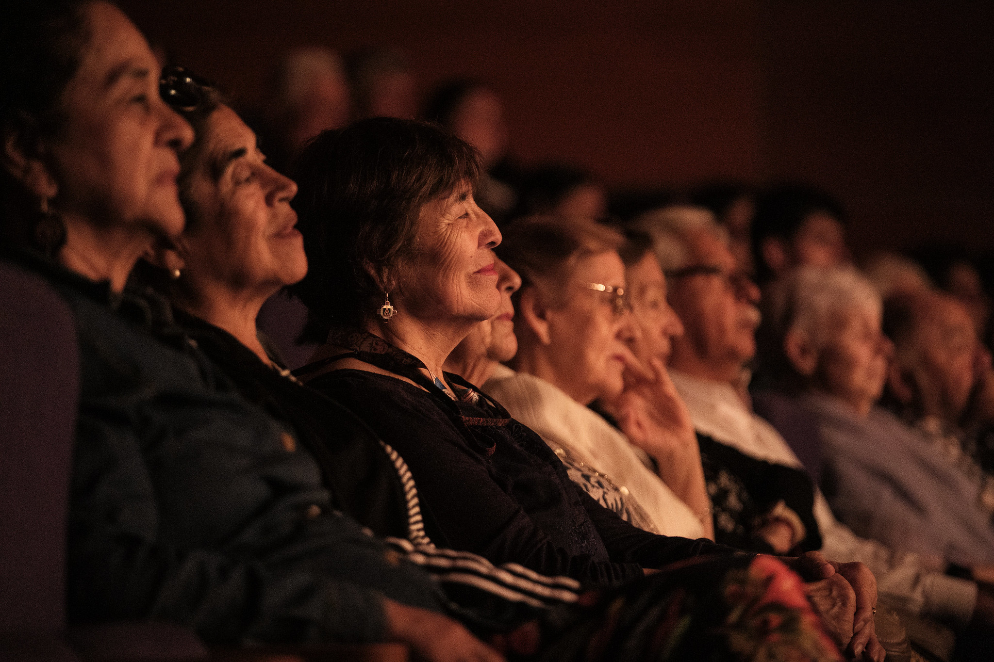 55156854856_62f644bdbb_k